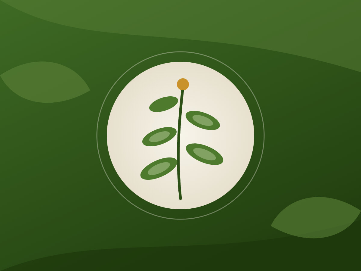 Illustration of a herb sprig inside a light circle on a dark green background