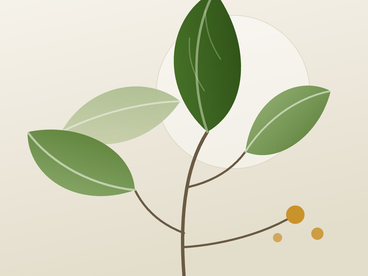 Illustration of a leafy branch with berries in earthy green tones