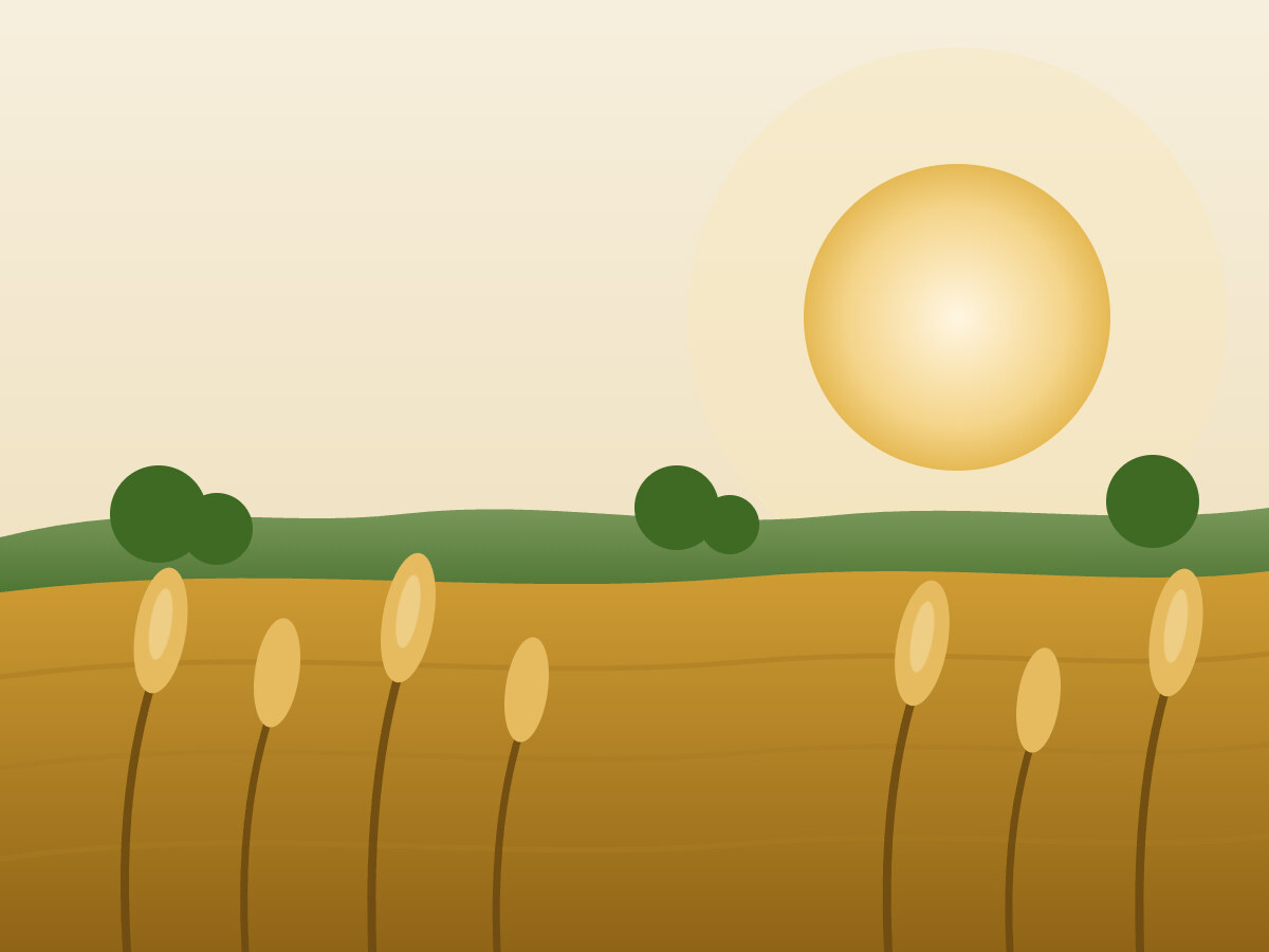 Illustration of a grain field in the evening sun